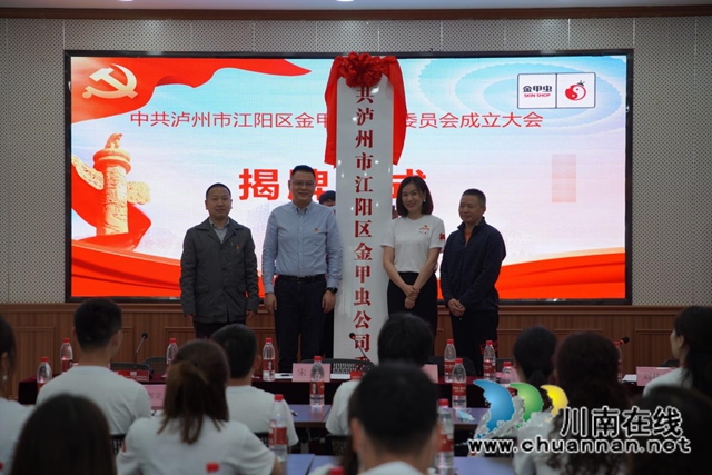 江阳区北城街道金甲虫党总支升格为党委(图1)