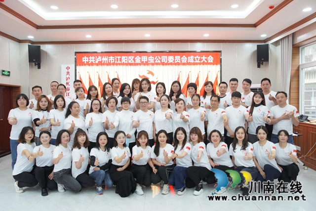 江阳区北城街道金甲虫党总支升格为党委(图3) 江阳区北城街道金甲虫党总支升格为党委(图3)