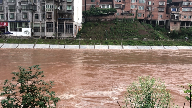 合江部分乡镇暴雨！先滩可看＂海＂……(图2)