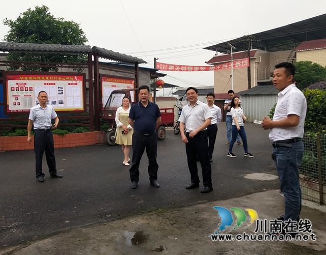 先泽平到泸县百和镇调研法治政府建设工作(图1) 先泽平到泸县百和镇调研法治政府建设工作(图1)