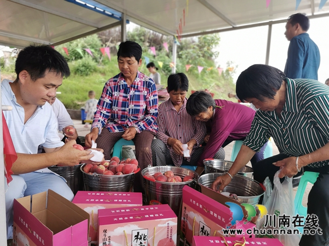 泸县牛滩镇：小小桃子助农大增收(图6)