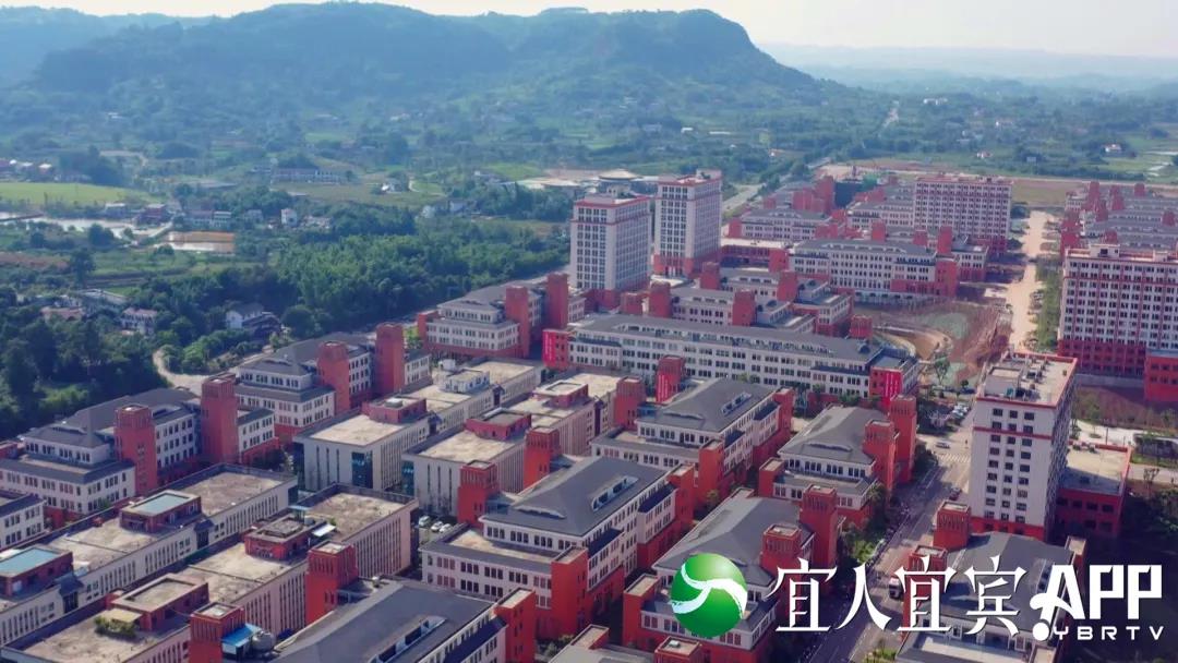 【深度观察】宜宾外贸：为何连续14个月高歌猛进？(图1)