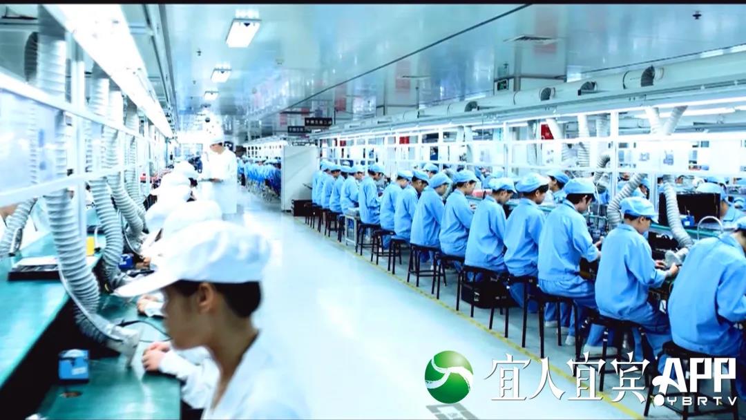 【深度观察】宜宾外贸：为何连续14个月高歌猛进？(图3)