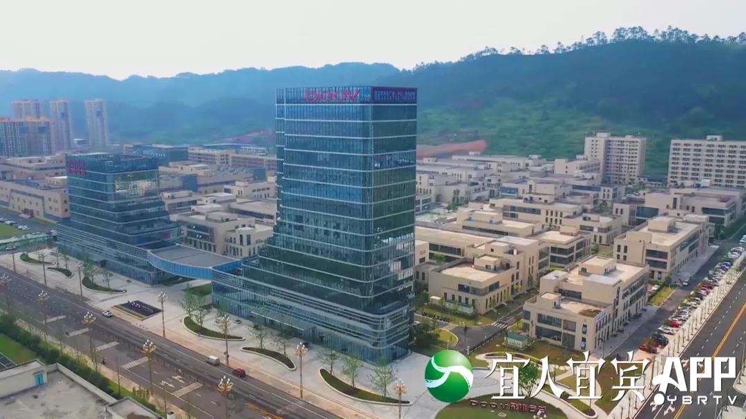 【深度观察】宜宾外贸：为何连续14个月高歌猛进？(图4)