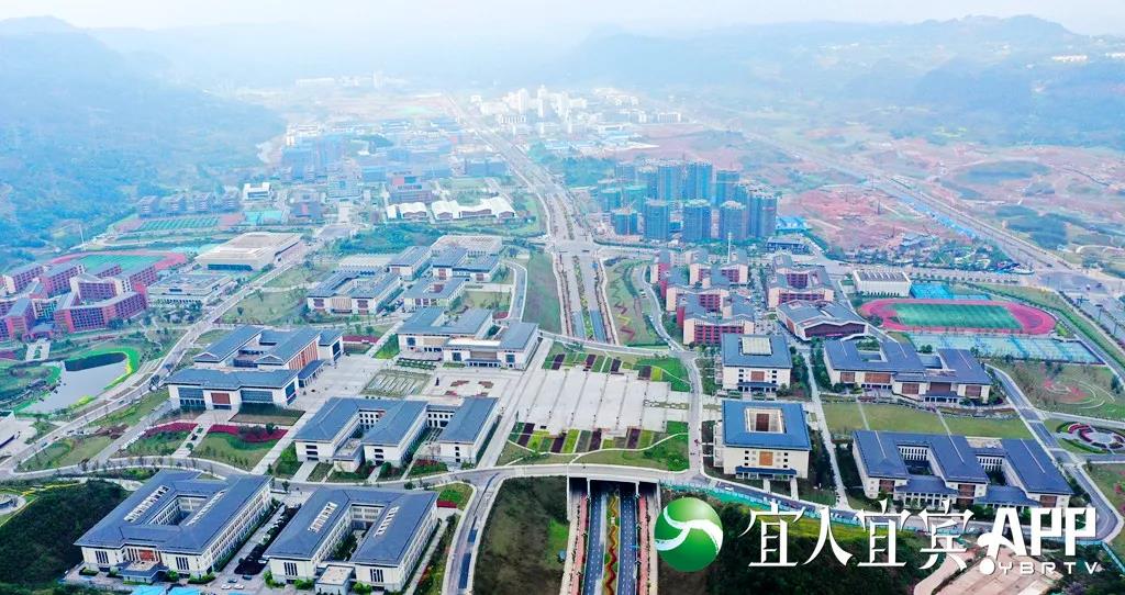 【深度观察】宜宾外贸：为何连续14个月高歌猛进？(图5)