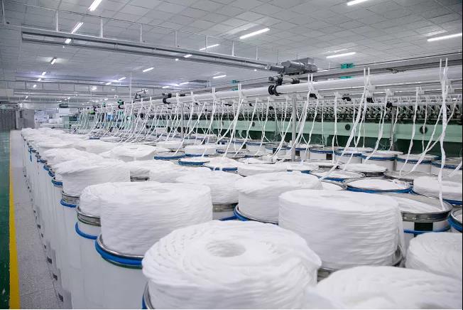 【深度观察】宜宾外贸：为何连续14个月高歌猛进？(图6)