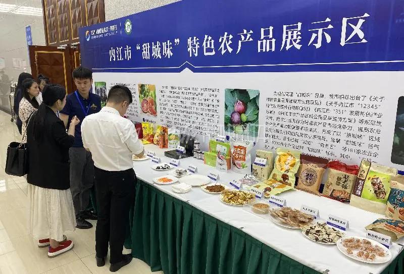 签下864.41亿元！内江荣昌携手有“大动作”(图8)