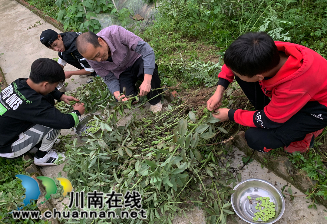 泸州市古蔺县鱼化中学：新时代农村初中劳动教育的探索者(图9)