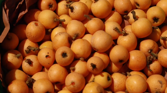 高甜预警！泸州近郊最新采摘攻略上线(图7)