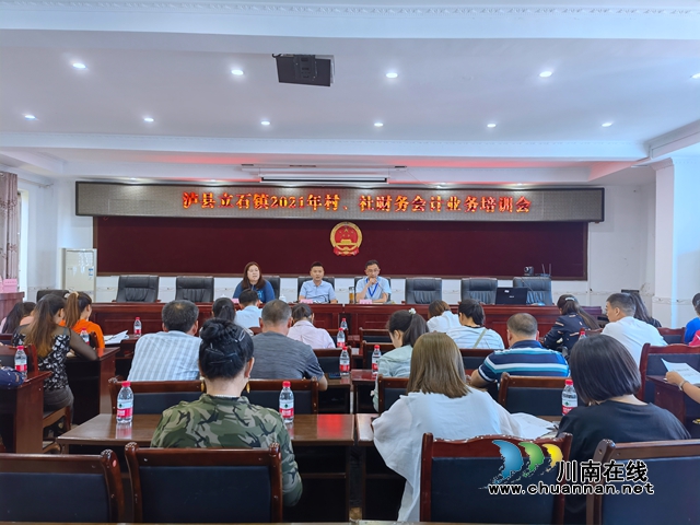 泸县立石镇召开2021年村、社财务会计业务能力培训会(图1)