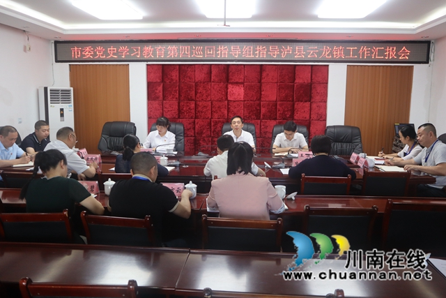 泸州市委党史学习教育第四巡回指导组到泸县云龙镇指导党史学习教育工作(图1)
