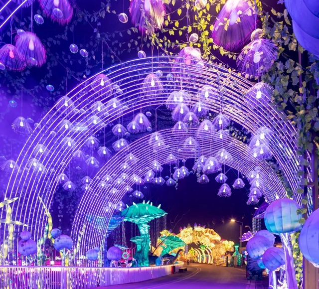 蔡紫在四川文化旅游推介活动中为自贡灯会代言(图12)