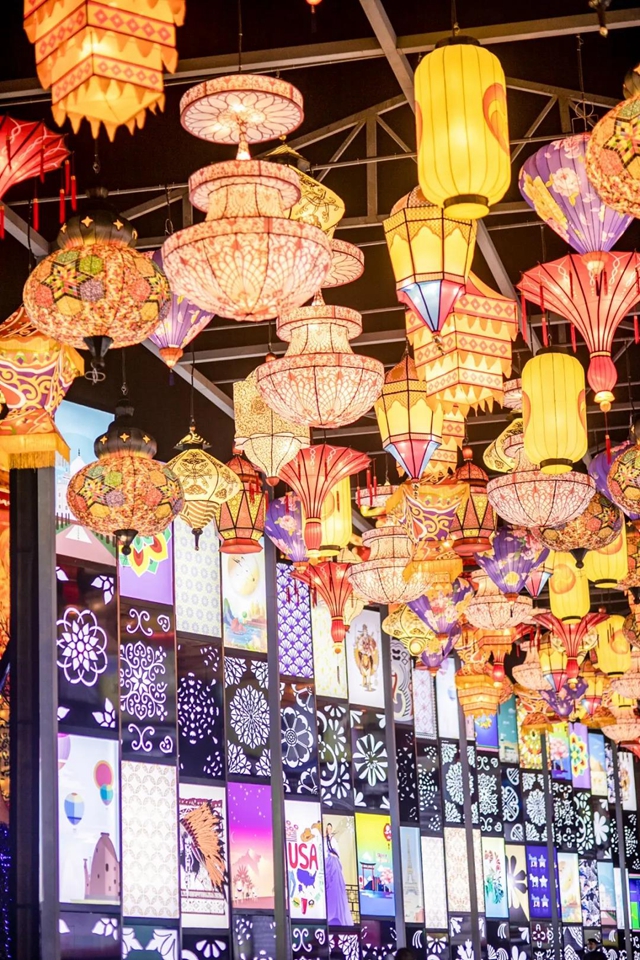 蔡紫在四川文化旅游推介活动中为自贡灯会代言(图13)