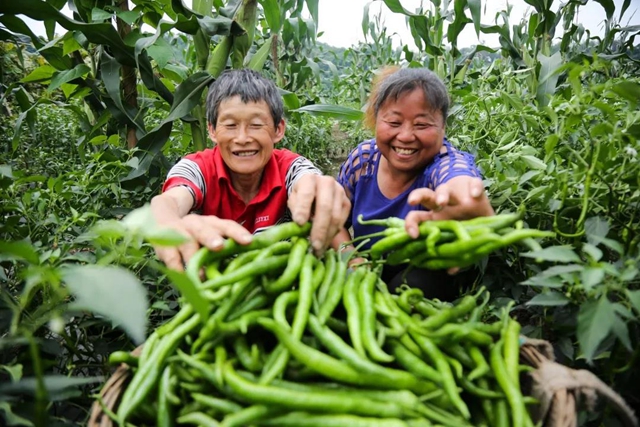 泸州：长江渔民退捕上岸后的日子过得怎样？一起来“回头看”(图2)