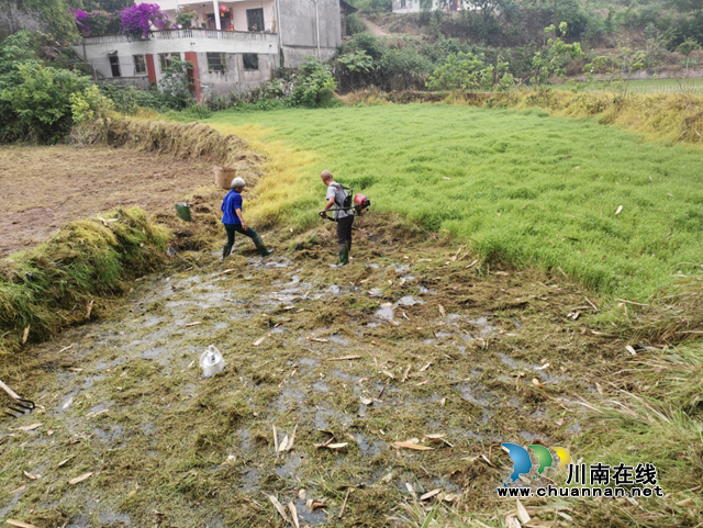 宜宾南溪区长兴镇扎实推进撂荒地整治行动(图1)