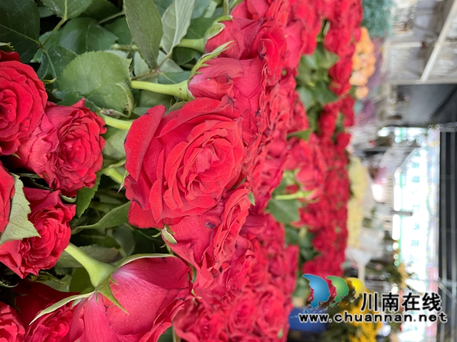 泸州龙马潭：“5·20”催生“浪漫经济”(图6)