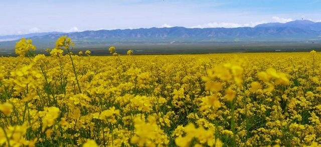 泸州市生态环境系统生物多样性保护主题摄影作品展播(图13)