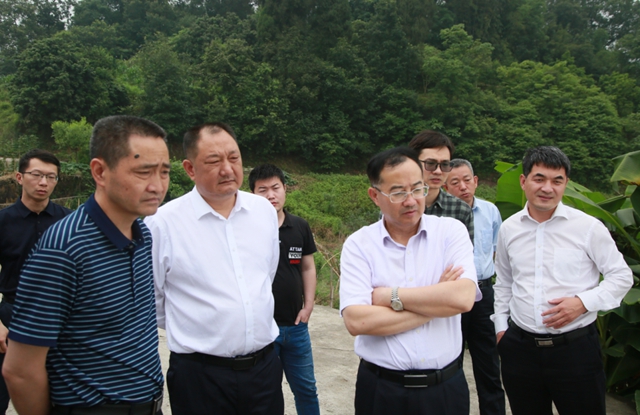 【双城经济圈】国家发展改革委宏观经济研究院到合江调研，为经济发展规划把脉献智(图4)