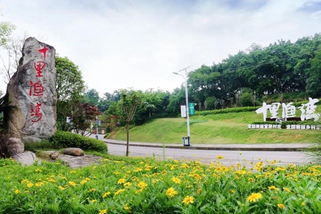 扎起！泸州这几条道路正在评选四川最美农村路，等你来投票(图4)