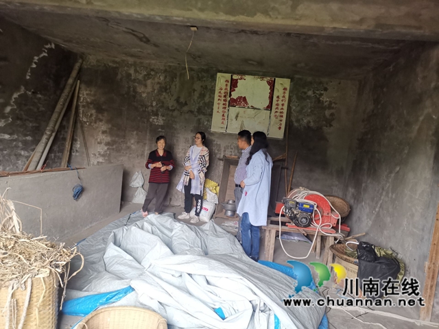 泸县百和镇组织开展村级财产盘活情况调研(图2)