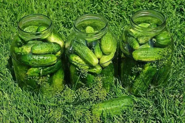 【分享】夏季吃这比西瓜还解渴，解暑又便宜!(图4)