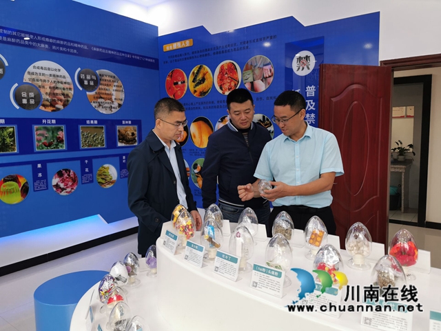 陈刚到泸县云龙镇督导河长制、禁毒、外流涉诈工作(图1)