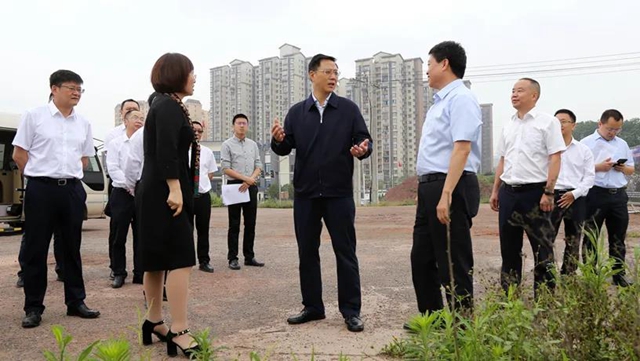 泸州市委副书记、代理市长余先河率队调研酒业园区高质量发展情况(图1)