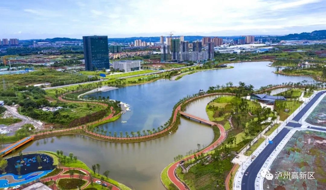 泸州市委副书记、代理市长余先河调研泸州国家高新区(图3)