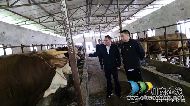 泸州市国土空间规划编制研究中心深入古蔺叙永调研(图3)