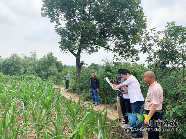 龙马潭区深入推进村规划编制工作(图2)