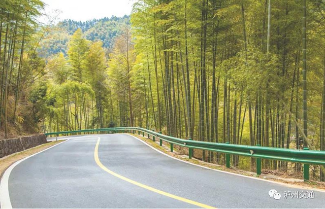直接受益群众约30万人！泸州这条“最美竹林公路”有望年底通车(图6)