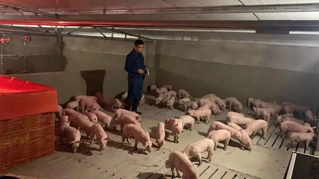 江阳区现代生态循环农业产业园一期竣工投用(图1)