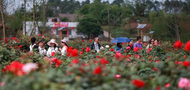 文旅消费季活动启动！宜宾将发放1000万文旅消费券(图2)