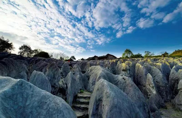 文旅消费季活动启动！宜宾将发放1000万文旅消费券(图5)