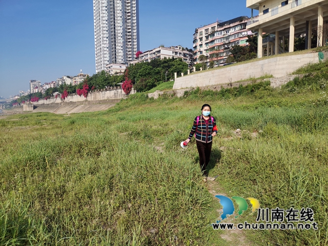 龙马潭区小市街道：社区“小喇叭”，宣传“大喇叭”(图6)