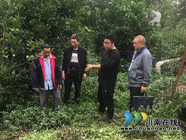 泸县百和镇开展畜禽养殖污染防治专项督查(图1)