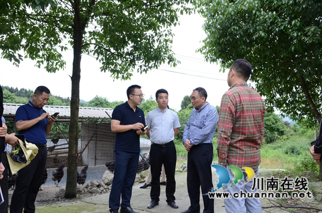 致公党四川省委到古蔺大寨苗族乡调研乡村振兴产业发展情况(图1)