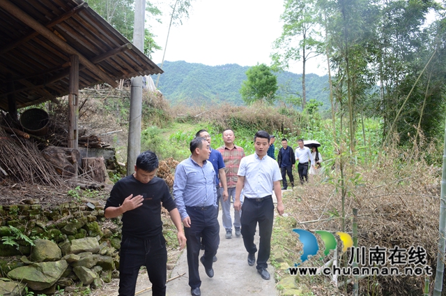 致公党四川省委到古蔺大寨苗族乡调研乡村振兴产业发展情况(图3)