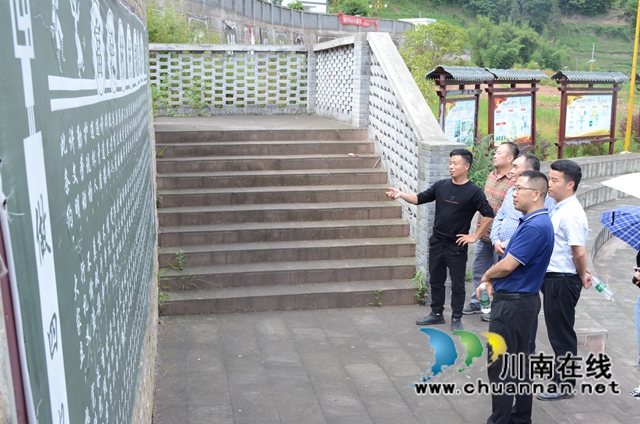 致公党四川省委到古蔺大寨苗族乡调研乡村振兴产业发展情况(图2)