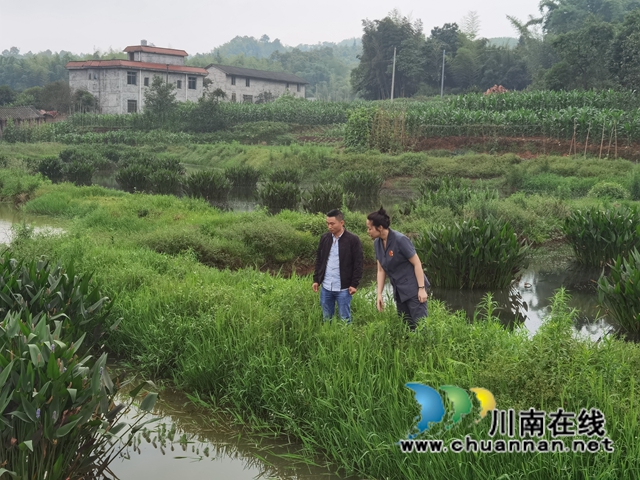 纳溪区法院：妥善处理“三地”案件，护好农民的根子问题(图2)