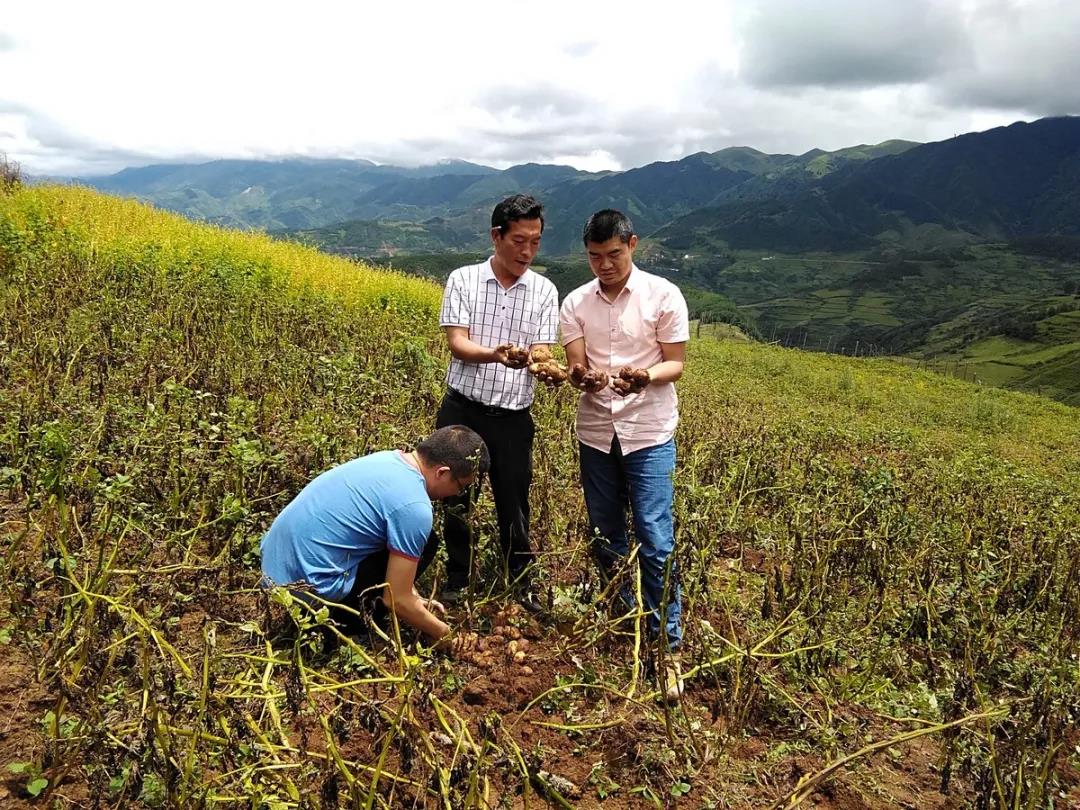 “文武双全”——杜金华(图9)