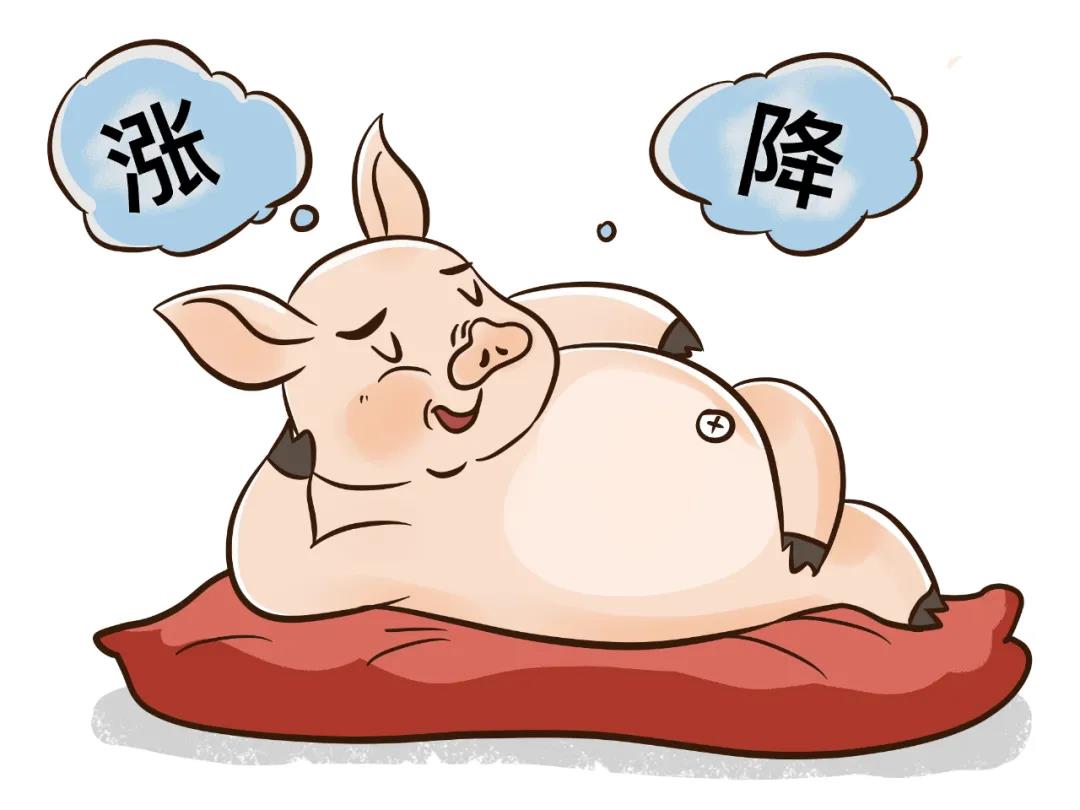 产能恢复超预期，生猪养殖盈利遇双向挤压(图2)