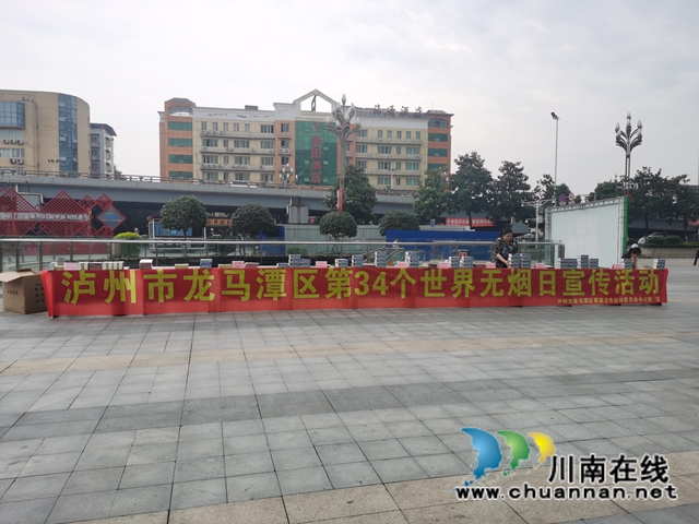 龙马潭区红星街道开展世界无烟日宣传活动(图3)