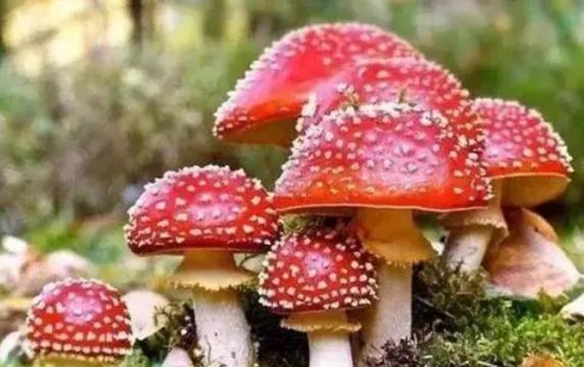 泸州疾控：6月，泸州市民要关注这些疾病(图2)