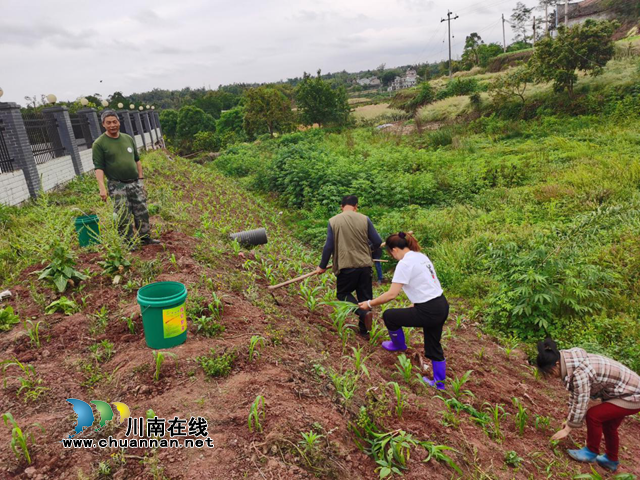 宜宾南溪区先锋村掀起“我为群众办实事”热潮(图1)