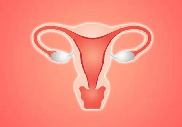 【扩散】女性朋友们，身体出现这些变化要小心？(图2)