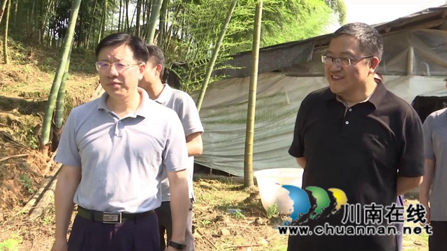 四川省总工会到合江县调研乡村振兴工作(图3)