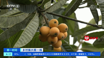 连上4天！央视多次“打卡”泸州！
