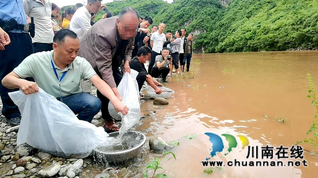 古蔺县法院：强制执行护生态，增殖放流赤水河(图2)