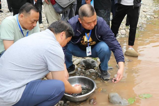 古蔺非法捕捞者被判放生鱼苗“补河”……(图6)